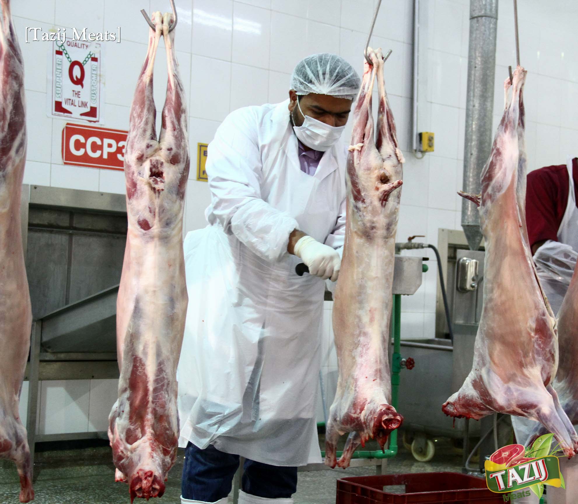 Post-Mortem Veterinary & Quality Control Point (CCP)