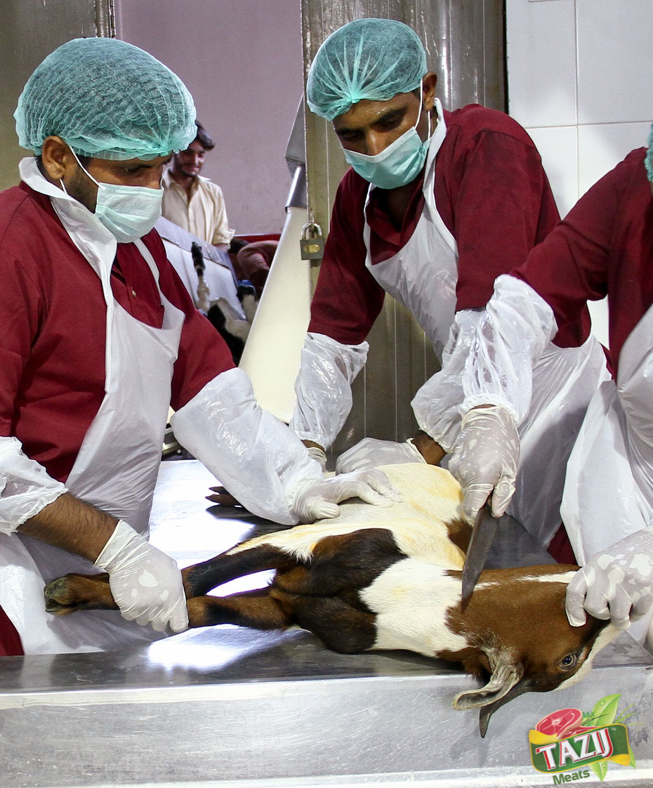 Halal Slaughtering Hall